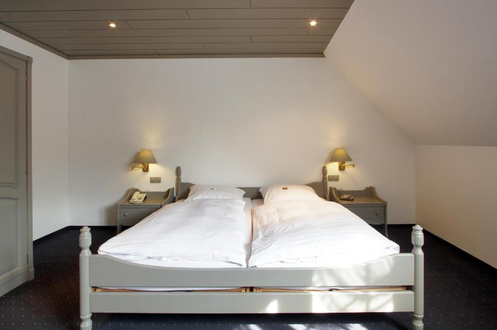 Hotel Goldener Stern Ascheberg  Bilik gambar